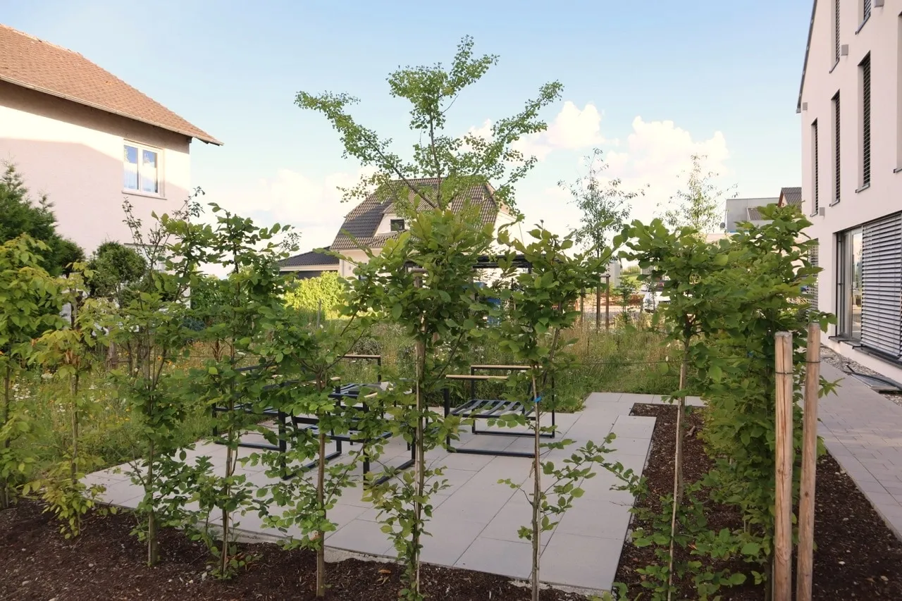 The practice garden