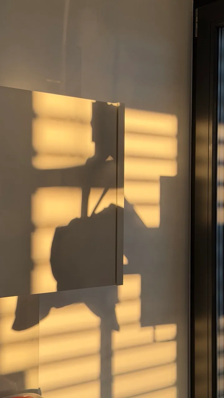 Light shadow of a surgical microscope on the practice wall